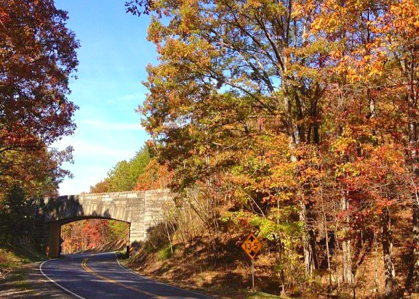 Fall on the parkway