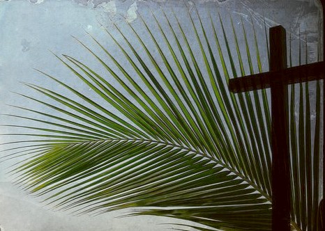 palmsunday